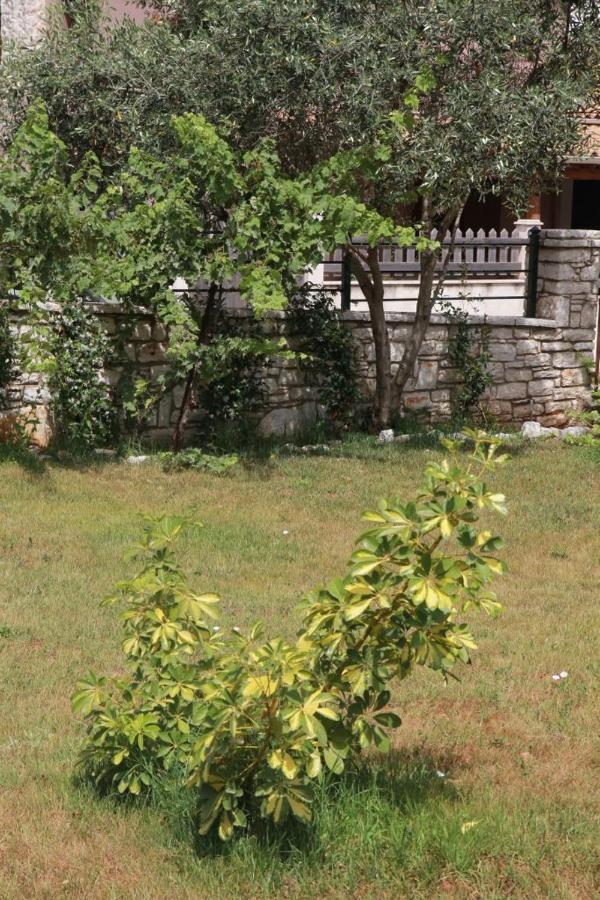 Damaskis Kassiopi Studios Ngoại thất bức ảnh